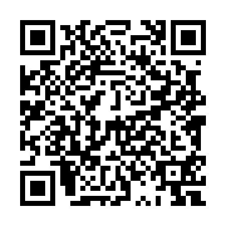QR code for HQL0101