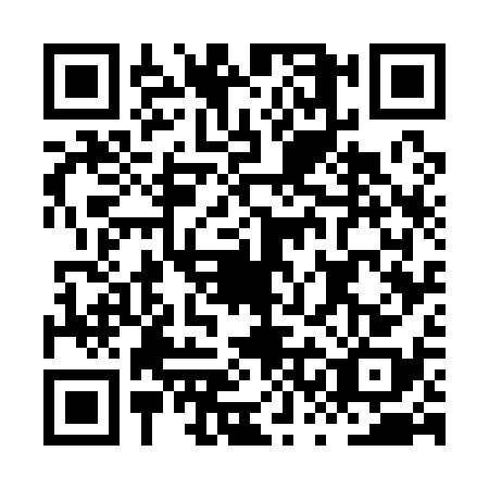 QR code for HSG1380