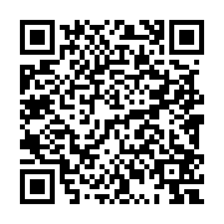 QR code for HUL5038