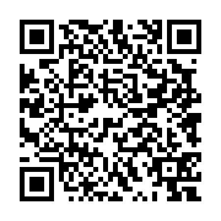 QR code for HXT0313