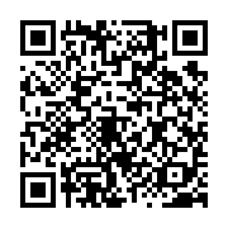 QR code for HYI6996