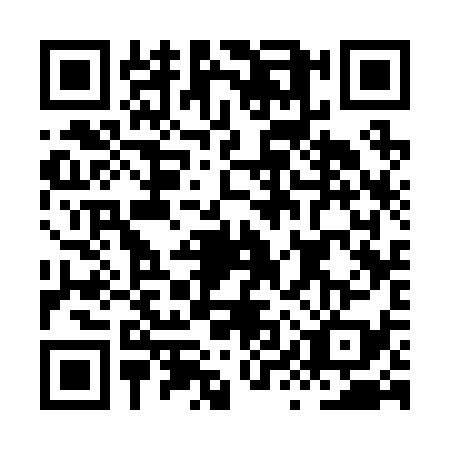 QR code for HYS2396