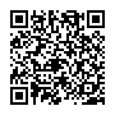QR code for HYW0994