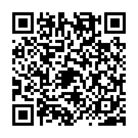 QR code for HYZ2717