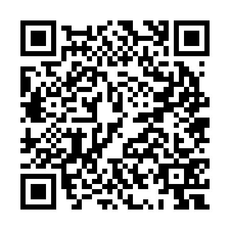 QR code for HYZ2737