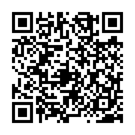 QR code for HYZ6529