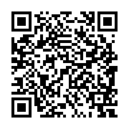 QR code for HZL3833