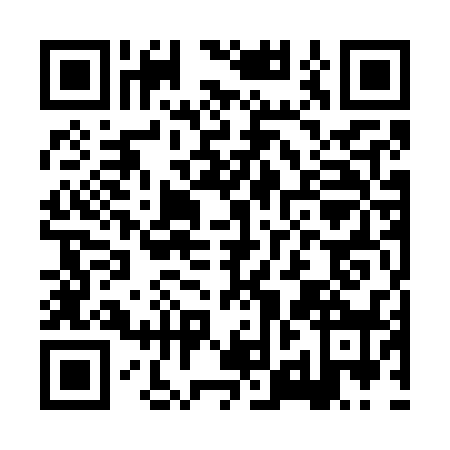 QR code for HZO7383