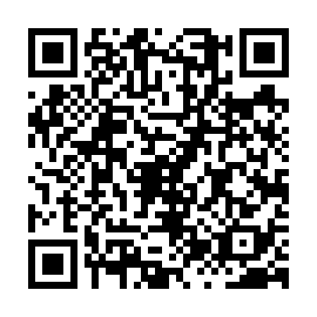 QR code for HZT6385