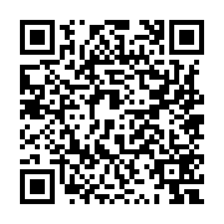 QR code for HZZ9595