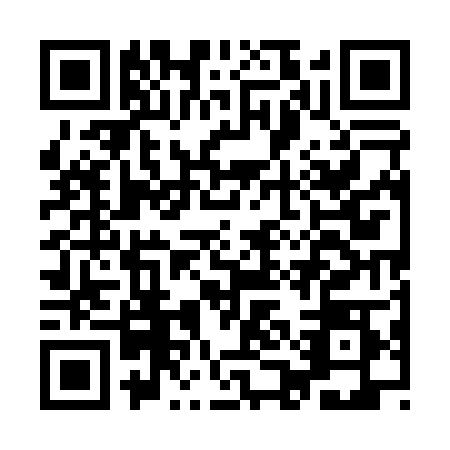 QR code for IAE0085