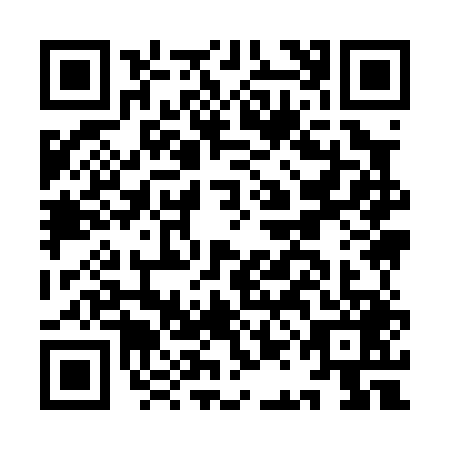 QR code for IAI0493