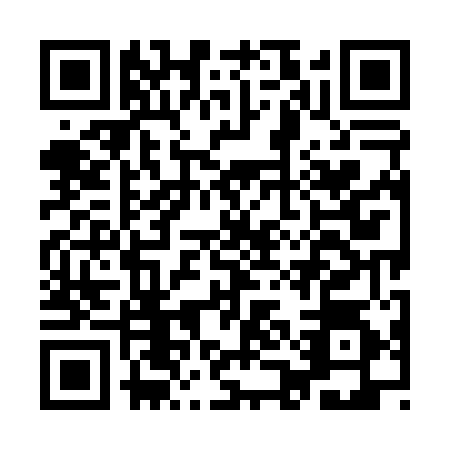 QR code for IAM0541