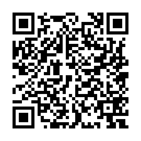 QR code for IAP9595