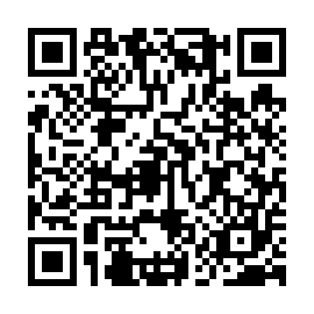 QR code for IAU6578