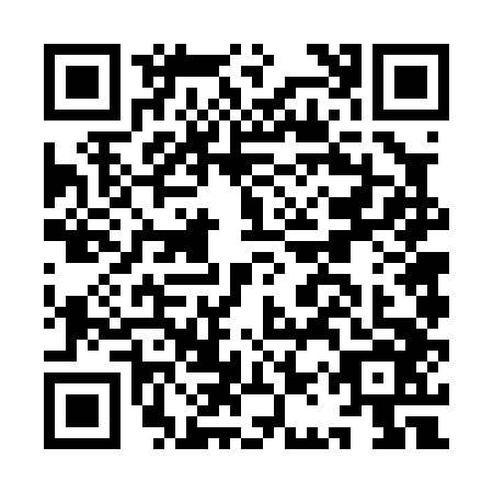 QR code for IAV0462