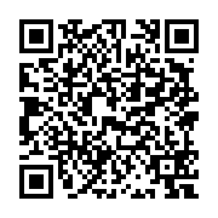 QR code for IBI4993