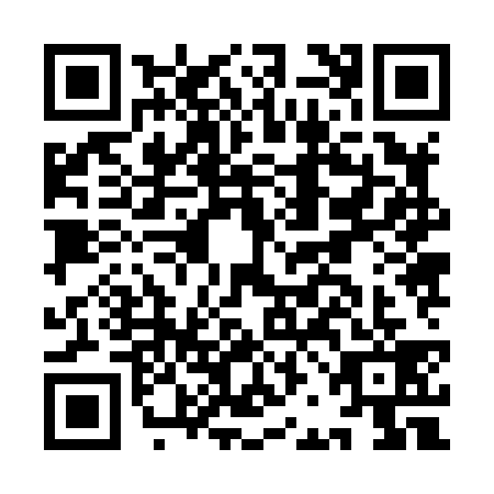 QR code for IBJ8393