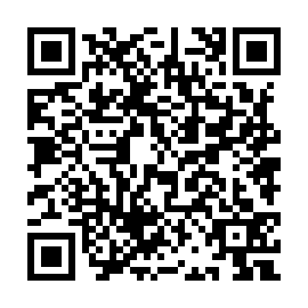 QR code for IBN9333