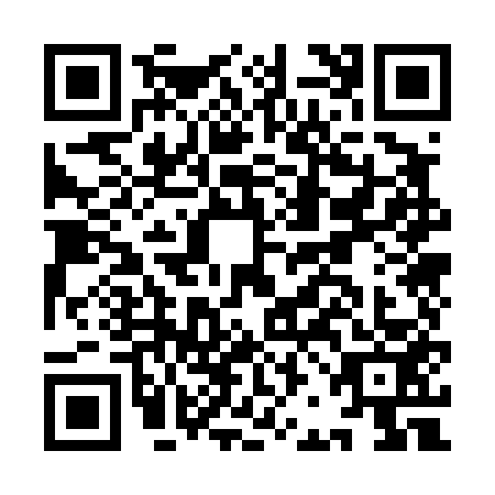QR code for IBO4538