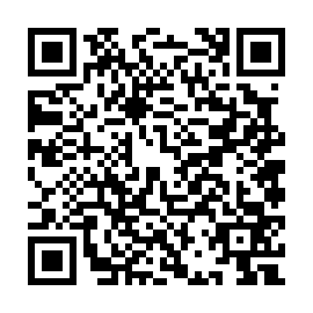 QR code for IBV0633