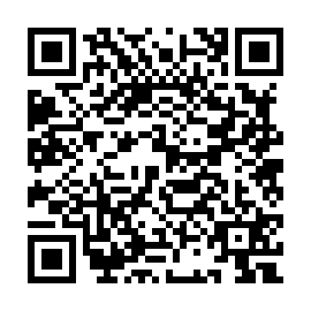 QR code for ICB8213