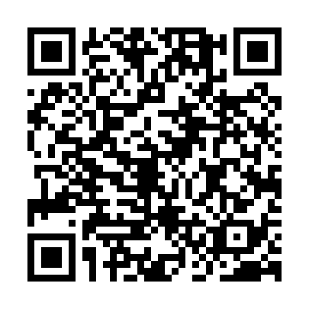 QR code for ICD0381