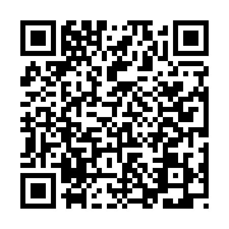 QR code for ICD1291