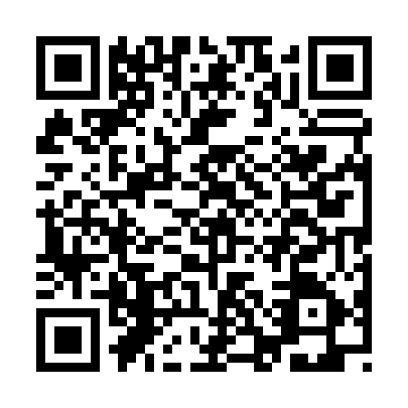 QR code for ICE0550