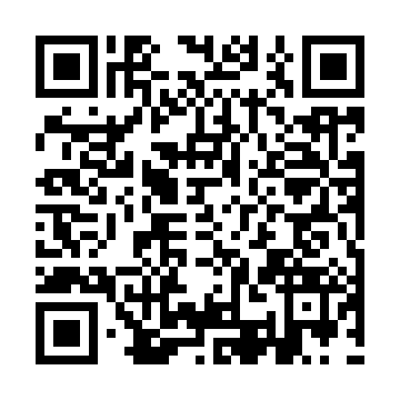 QR code for ICE9838