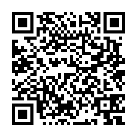 QR code for ICO4385