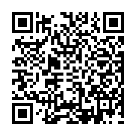 QR code for ICO6125