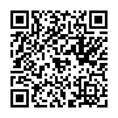 QR code for ICO6529
