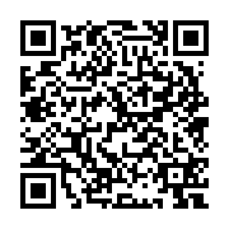 QR code for ICP6206