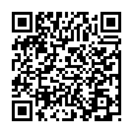 QR code for ICV0300