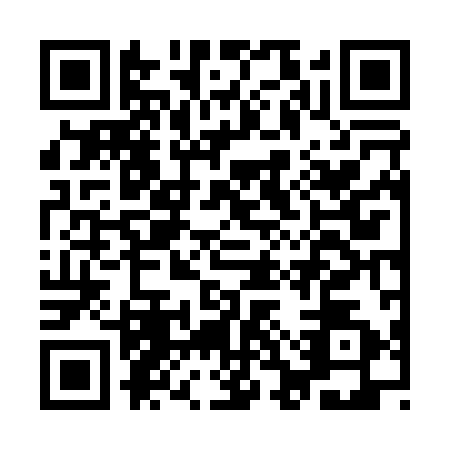 QR code for ICV0929