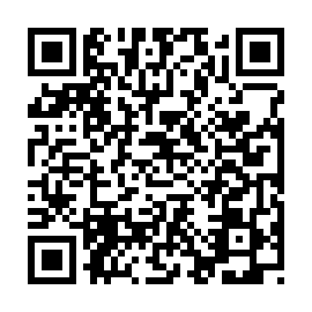 QR code for ICZ3493