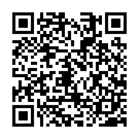 QR code for IDD2030