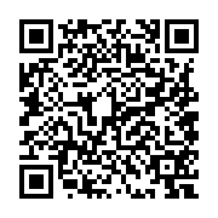 QR code for IDF9541