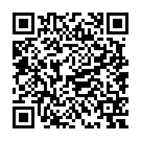 QR code for IDN4641