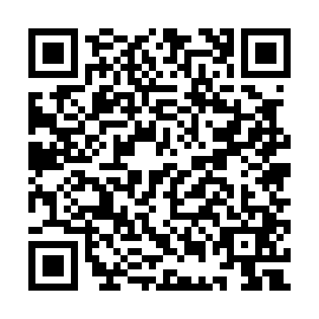 QR code for IEE0418