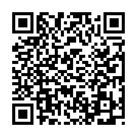 QR code for IFE0397