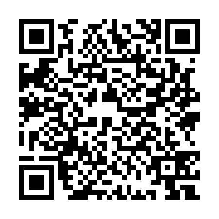 QR code for IFI1397