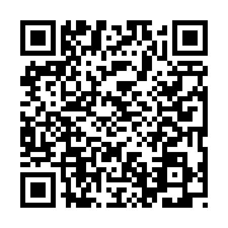 QR code for IFI4384