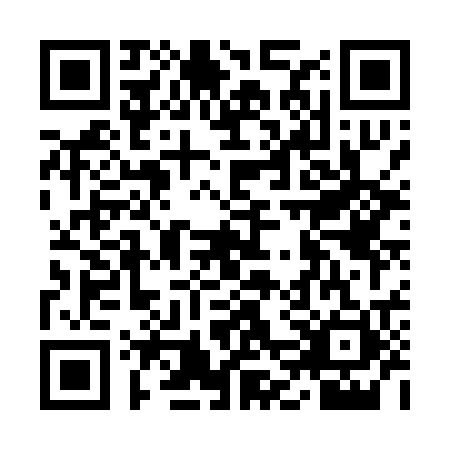 QR code for IFV0216