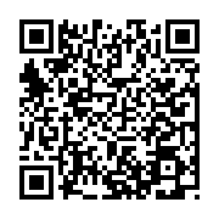 QR code for IFV5541