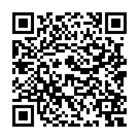 QR code for IFX0031