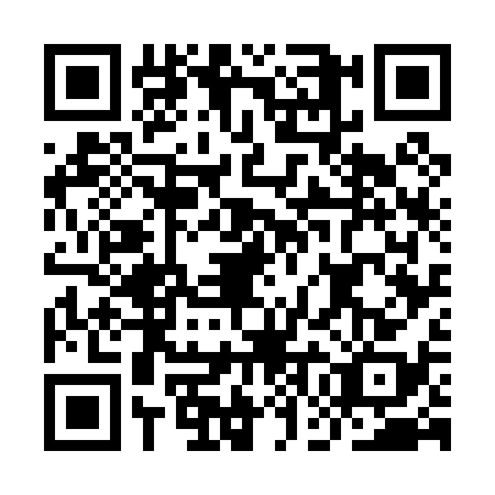 QR code for IGG0384