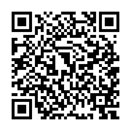 QR code for IGG2838