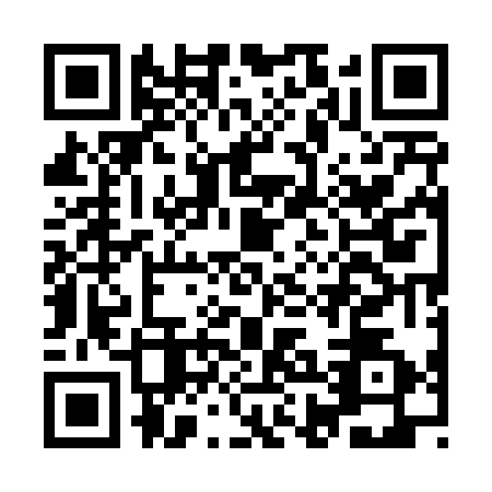 QR code for IHE4729